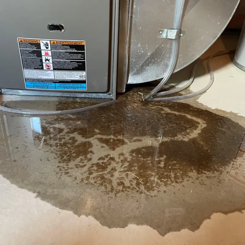 Appliance Leak Cleanup in Jasmine Estates, FL